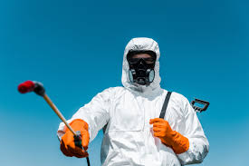 Best Pest Control for Hotels  in Belmont, MS